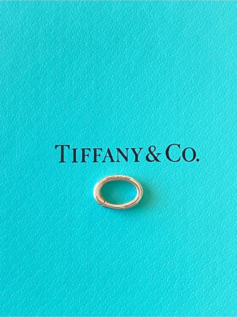 Tiffany & Co. Sterling Silver oval clasping link